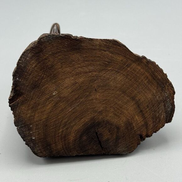 Vintage Hand Carved Ironwood Seal Sea Lion Figurine Sculpture MCM Nautical 5.5"T - Picture 2 of 7